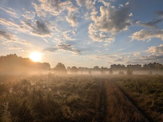 Golden morning mist harmoniously embracing wildflowers at sunrise.