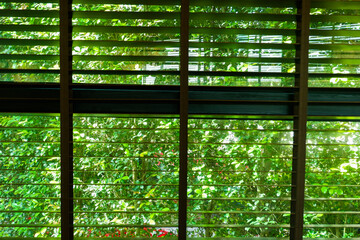 Blinds window decoration interior of room,Venetian blind or sun blind.