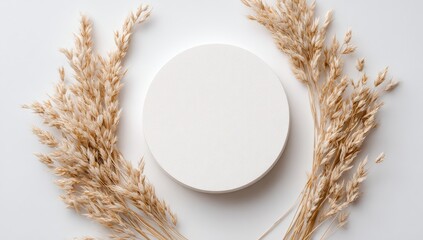 Blank white circle surrounded by dried oat stalks