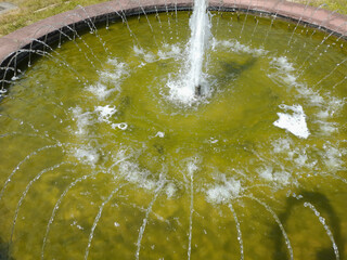 Springbrunnen bei Blankenburg, Harz