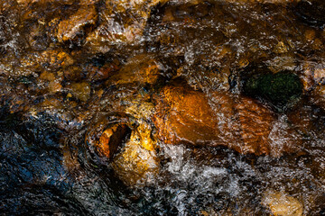 Mountain Creek in Forest
