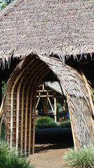 the roof of the house is thatched