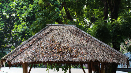 the roof of the house is thatched