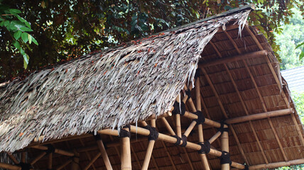 the roof of the house is thatched