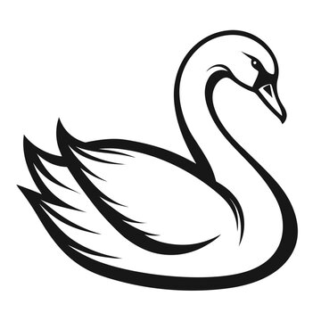 Swan Silhouette Line Art Vector