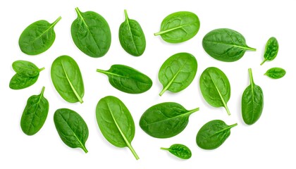 Fresh spinach leaves arranged (1)
