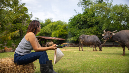 Woman seated on hay bales observing buffaloes grazing in a lush, green farm during a clear day in a...