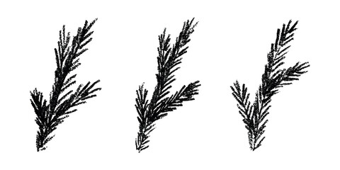 Set of hand drawn spruce branch clipart. Twig of coniferous tree doodle. Christmas and winter design element