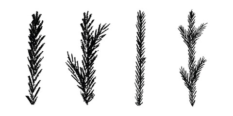 Set of hand drawn spruce branch clipart. Twig of coniferous tree doodle. Christmas and winter design element © Daria Shane