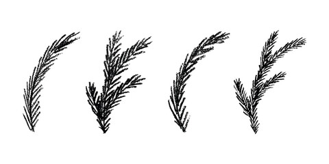 Set of hand drawn spruce branch clipart. Twig of coniferous tree doodle. Christmas and winter design element © Daria Shane