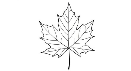 Elegant black and white line art depicts a classic maple leaf, perfect for seasonal designs and educational materials