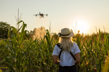 A drone sprays crops in a cornfield, against a backdrop of the setting sun, showcasing...