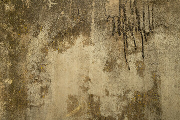 Aged concrete wall with mold and damp stains forming a grungy textured surface, photographed...