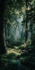 Fototapeta premium Sunlit path through a misty green forest