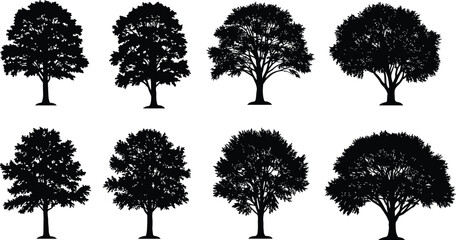 Vector set of 10 detailed black tree silhouettes with dense foliage and intricate branches, ideal for landscape design, nature projects, and environmental artwork