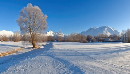 Panoramic winter landscape, snow-covered fields and trees, clear blue sky, distant mountains