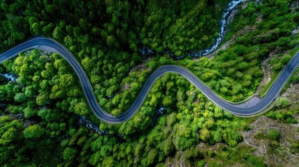 Fototapeta premium Winding road through lush forest. High-angle view