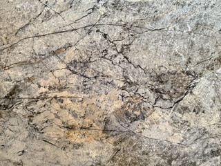 Natural bright golden grey marble texture with dark red veins and black veins. Bright warm grey natural marble stone, Seamless background texture.