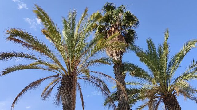 salou spain cityscape beautiful place stock video