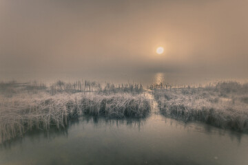 Fototapeta premium Frozen lake reeds at dawn with soft mist and sun reflection