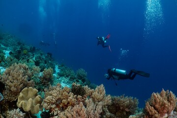 Scuba divers explore a vibrant coral reef in the deep blue ocean.