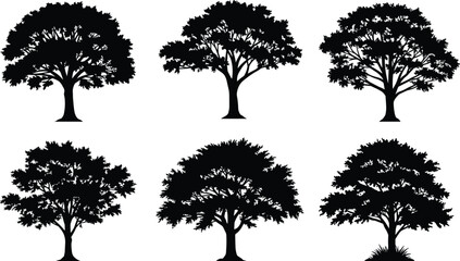Set of 8 black silhouette trees with dense foliage and grass bases, perfect for nature designs, landscape illustrations, and environmental vector art collections