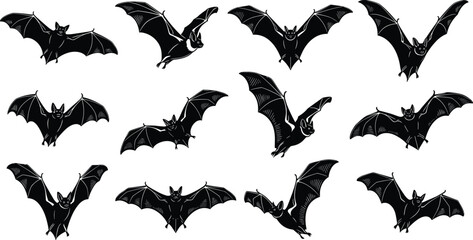 Bat silhouette illustration, flying bat poses, black vector shapes, wing anatomy, nocturnal animal, Halloween design, wildlife art, spooky theme