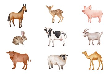 Obraz premium Various of mammals set on white background. Watercolor of horse, deer, pig, goat, sheep, cow, rabbit, and camel on white. Hand drawn of