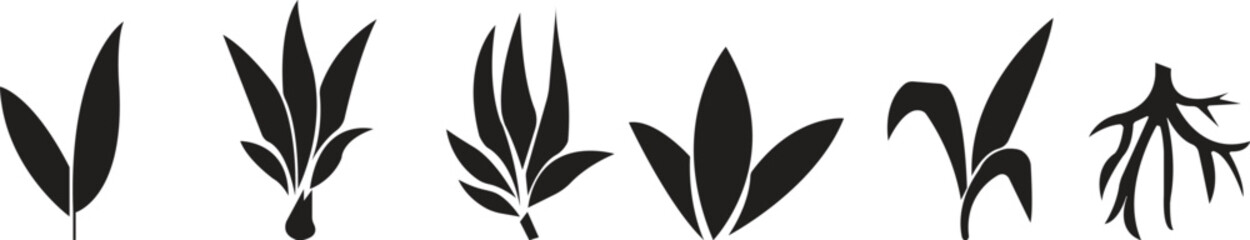 Bamboo Sugarcane icon set. Design elements for social network and application. on transparent background.Sugarcane stalks vector illustration of fresh sugarcane plants for agriculture.