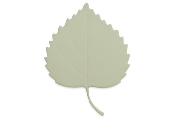 Verdant leaf suspended against transparent backdrop, representing botanical vitality and ecological harmony