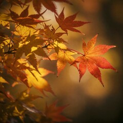 단풍 낙옆 가을 