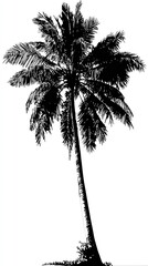 Palm Tree Silhouette