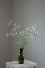 白い部屋に置かれたカスミソウ