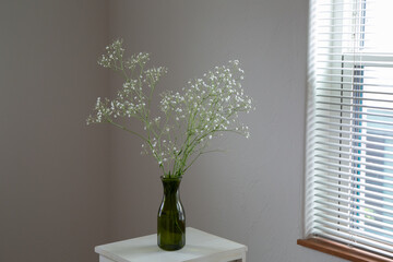 白い部屋に置かれたカスミソウ