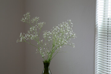 白い部屋に置かれたカスミソウ