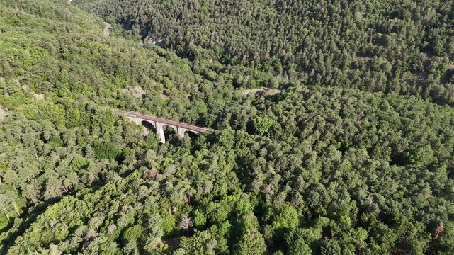 Aerial View of a Historic Bridge Surrounded by Lush Green Forest. Ideal footage for documentaries, travel vlogs, and promotional videos highlighting scenic adventures.