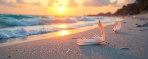 Serene Sunset Beach Scene Soft White Feathers Scattered on Pristine Sand, Gentle Waves Caressing the Shore, Peaceful Relaxation and Travel Imagery