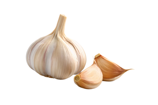 Single garlic bulb with separated cloves showing inner texture and natural coloring on white surface, isolated on a transparent background
