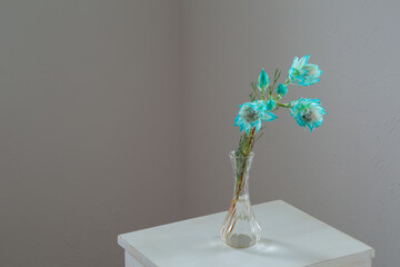 白い部屋に置かれたセルリア