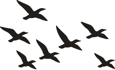 set of silhouettes of birds