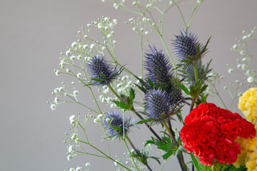 白い部屋に置かれたケイトウとエリンジウムとカスミソウ