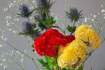 白い部屋に置かれたケイトウとエリンジウムとカスミソウ