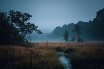 Fototapeta premium Misty morning landscape with trees and creek