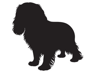 CAVALIER KING CHARLES SPANIEL DOG SILHOUETTE