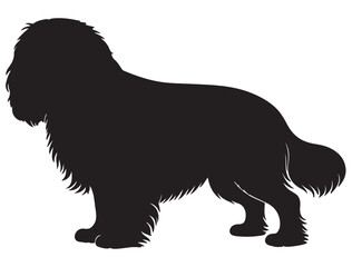 CAVALIER KING CHARLES SPANIEL DOG SILHOUETTE