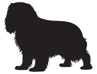 CAVALIER KING CHARLES SPANIEL DOG SILHOUETTE
