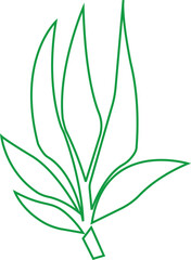 Bamboo Sugarcane line art icon. Design elements for social network and application. on transparent background.Sugarcane stalks vector illustration of fresh sugarcane plants for agriculture.