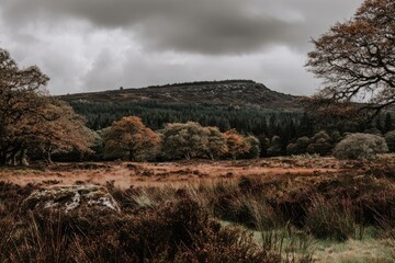 Autumnal landscape with a hill and trees under a cloudy sky