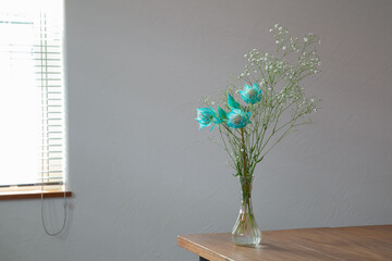 白い部屋に置かれたセルリアとカスミソウ