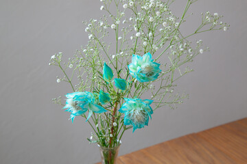 白い部屋に置かれたセルリアとカスミソウ